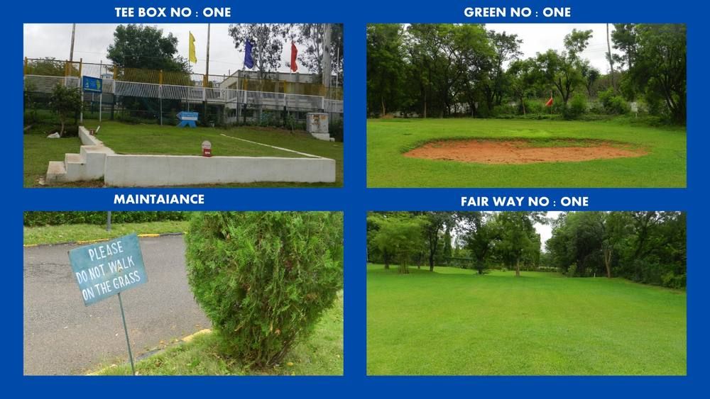Tee boxes & greens